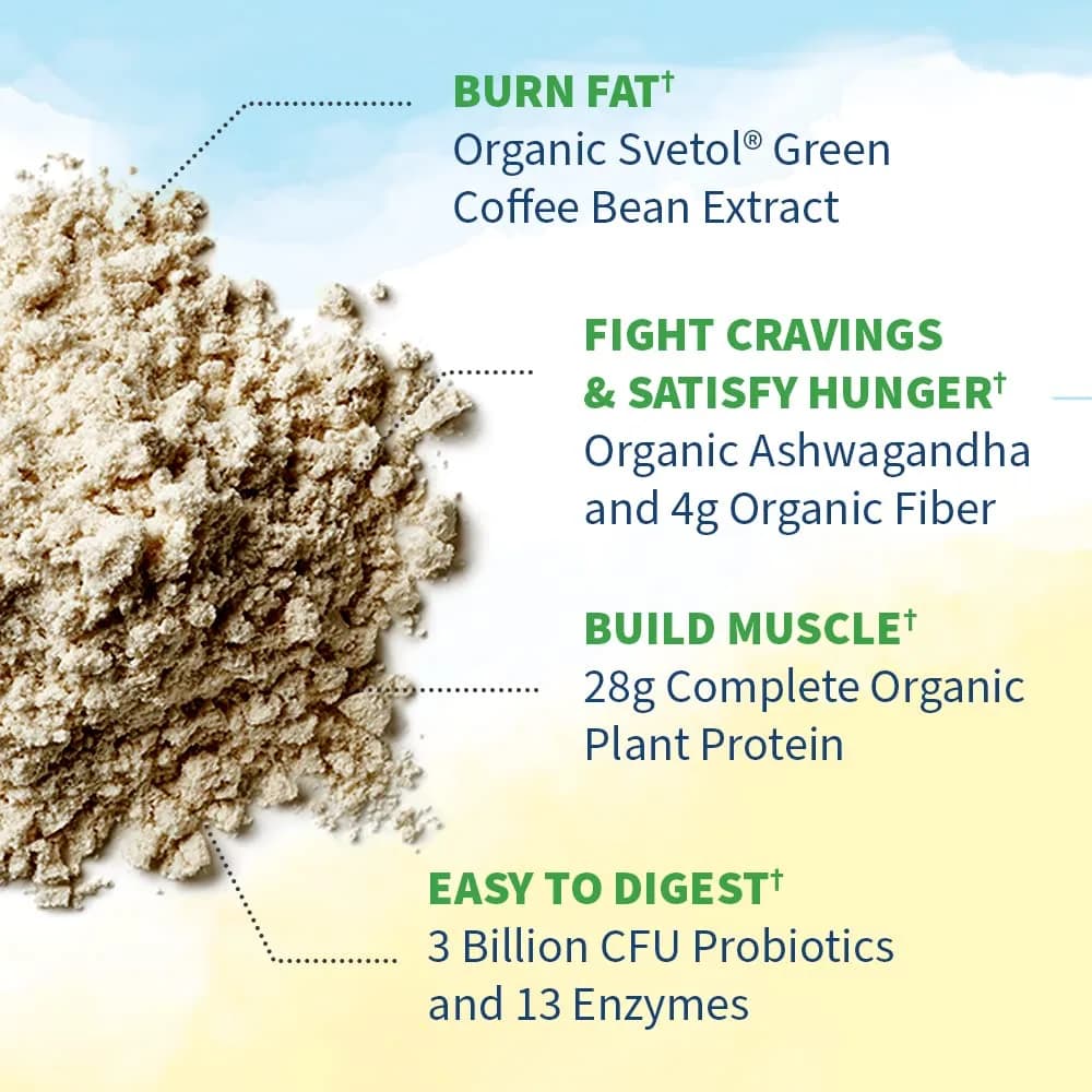 Garden of Life Raw Organic Fit Vegan Protein Powder Original 427g (14 Oz) | 28g Plant Protein for Weight Management - view 4