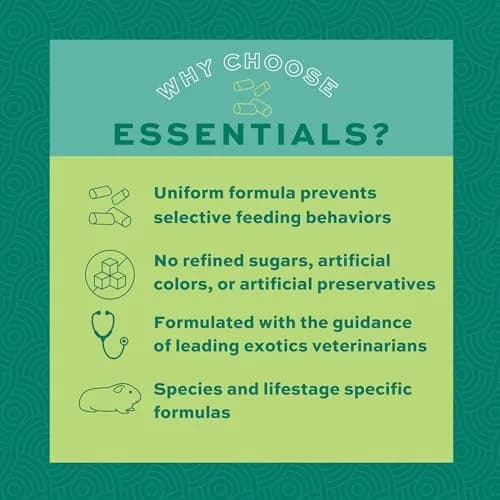 Oxbow Essentials Adult Guinea Pig Food, Timothy Hay Pellets, USA, 5 lb | Complete, High-Fiber Nutrition for Guinea Pigs thumbnail 4