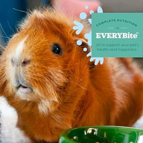 Oxbow Essentials Adult Guinea Pig Food, Timothy Hay Pellets, USA, 5 lb | Complete, High-Fiber Nutrition for Guinea Pigs thumbnail 5