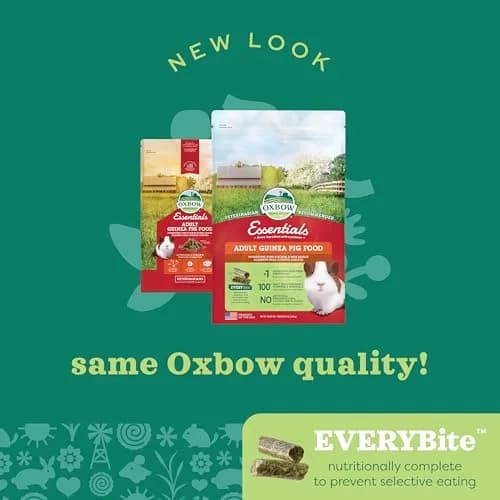 Oxbow Essentials Adult Guinea Pig Food, Timothy Hay Pellets, USA, 5 lb | Complete, High-Fiber Nutrition for Guinea Pigs thumbnail 7