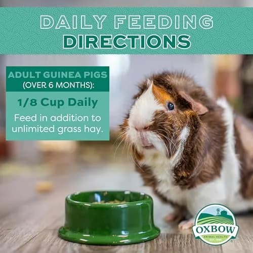 Oxbow Essentials Adult Guinea Pig Food, Timothy Hay Pellets, USA, 5 lb | Complete, High-Fiber Nutrition for Guinea Pigs thumbnail 3