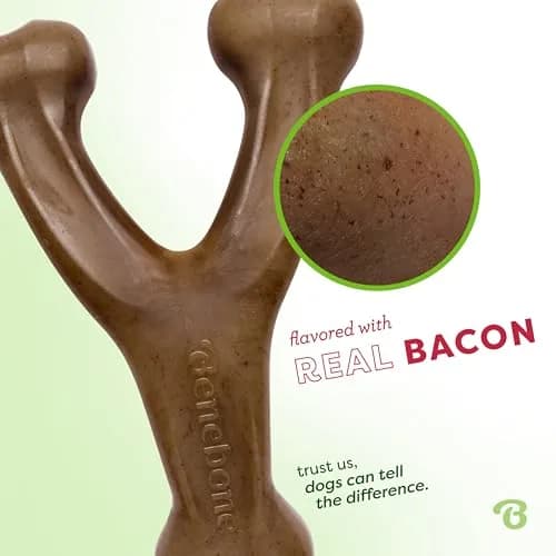 Benebone Wishbone Durable Dog Chew Toy for Aggressive Chewers, Real Bacon Flavor, Medium | Tough Nylon Chew Toy for Dogs thumbnail 2