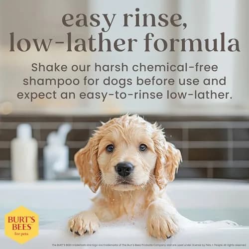 Burt's Bees for Pets Tearless Puppy Shampoo & Conditioner with Buttermilk, 473ml (16 Fl Oz) | Gentle 2-in-1 Formula for Sensitive Skin thumbnail 4