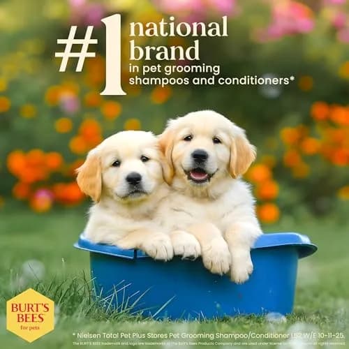 Burt's Bees for Pets Tearless Puppy Shampoo & Conditioner with Buttermilk, 473ml (16 Fl Oz) | Gentle 2-in-1 Formula for Sensitive Skin thumbnail 7