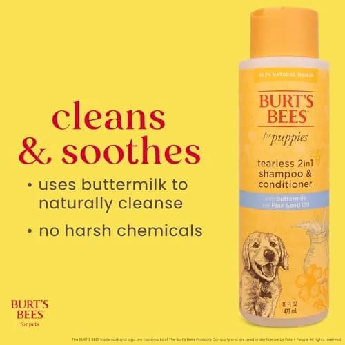Burt's Bees for Pets Tearless Puppy Shampoo & Conditioner with Buttermilk, 473ml (16 Fl Oz) | Gentle 2-in-1 Formula for Sensitive Skin thumbnail 3