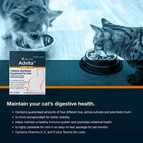 Vet One Advita™ Probiotic Powder for Cats 1g Packets | Supports Digestion & Immunity thumbnail 4