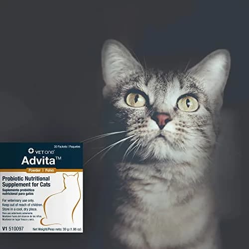 Vet One Advita™ Probiotic Powder for Cats 1g Packets | Supports Digestion & Immunity thumbnail 3
