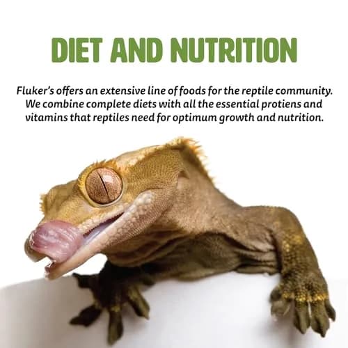 Fluker's Premium Tortoise Diet Small Pellet Food 198 g (7 oz) | Balanced Nutrition for All Tortoises & Box Turtles thumbnail 5