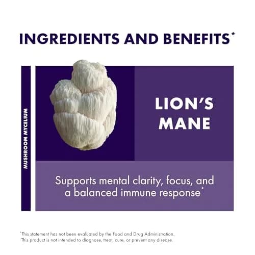 Host Defense Lion's Mane, Brain Support & Focus, 30 Capsules | Supports Memory & Clarity thumbnail 6
