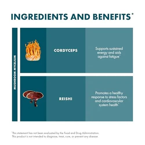 Host Defense CordyChi Capsules, 30 Capsules | Immune & Energy Support with Organic Mushrooms thumbnail 6