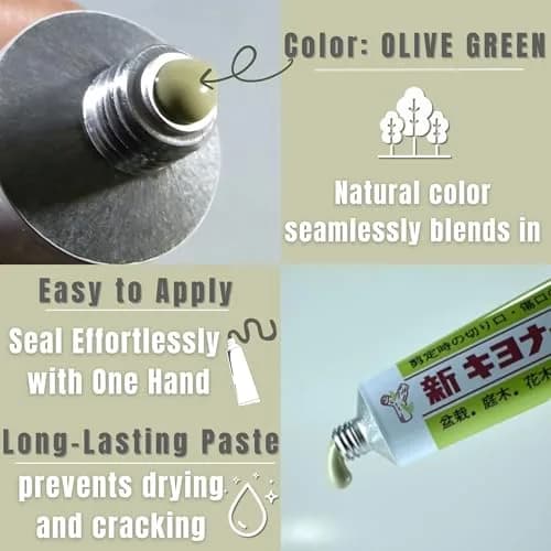 Kiyonal Bonsai Pruning Cutting Sealer Paste 100g (3.53 oz) | Japanese Wound Sealant for Healthy Tree Growth thumbnail 4