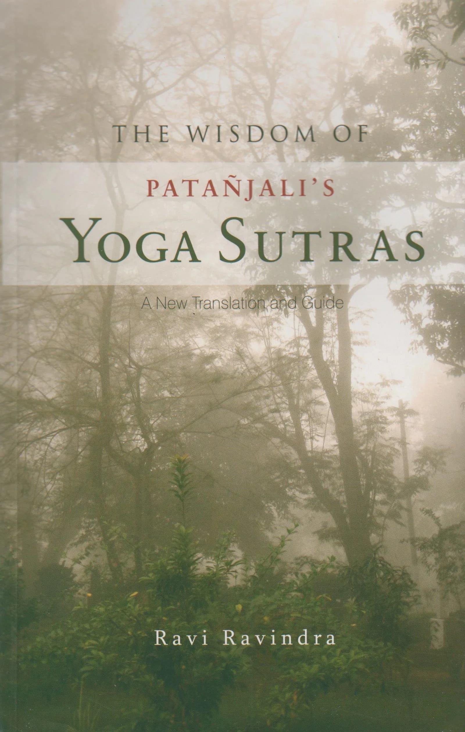 The Wisdom of Patanjali's Yoga Sutras Paperback by Ravi Ravindra | 288 Pages - main product image