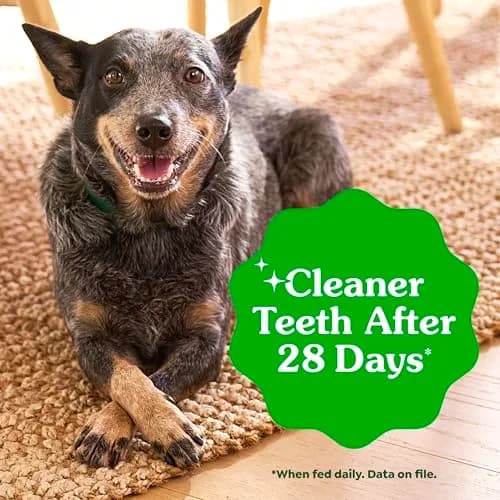 Greenies Teenie Original Dental Dog Treats - Chicken Flavor, 22 Count for Small Dogs - view 4