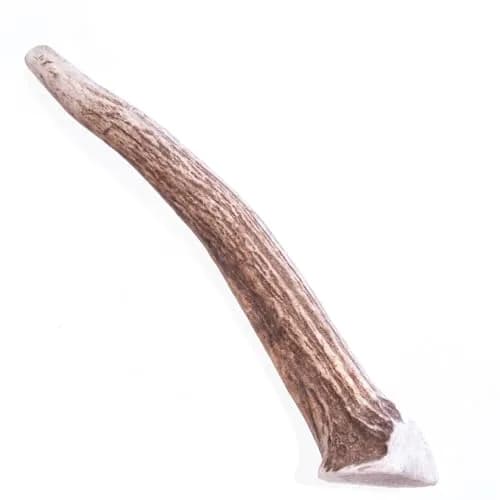 Big Sky Dog Antler Chew Medium 8 Ounce | Natural Durable Chew for Medium Dogs thumbnail 1