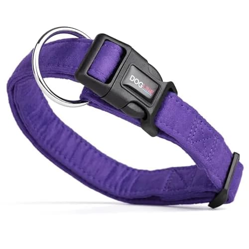 Dogline Pet Collar 3/4-Inch Wide Purple | Soft Microfiber, Reinforced Nylon, Machine Washable thumbnail 1