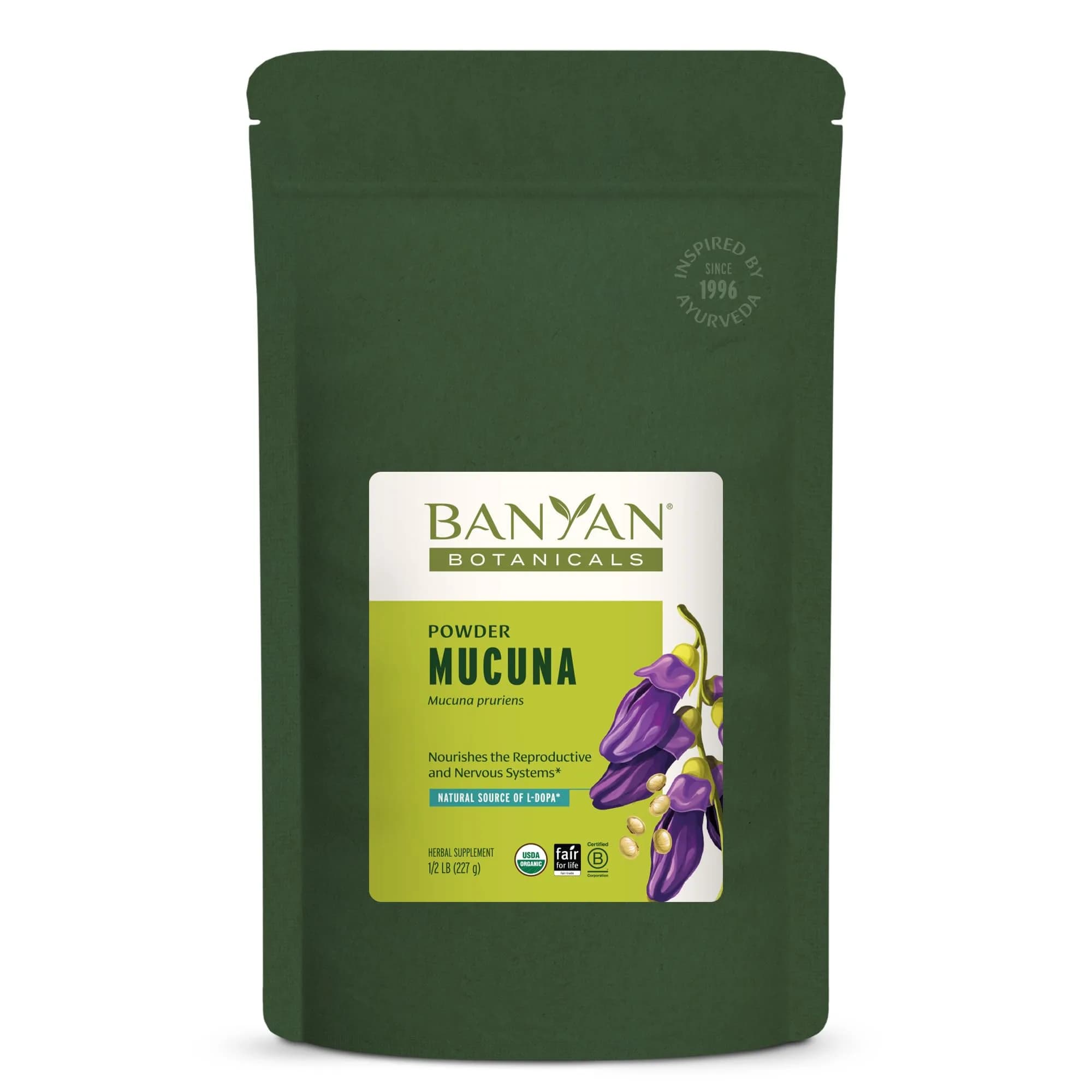 Banyan Botanicals Kapikacchu Powder 8 Ounce | USDA Organic Mucuna pruriens for Nervous & Reproductive Support
