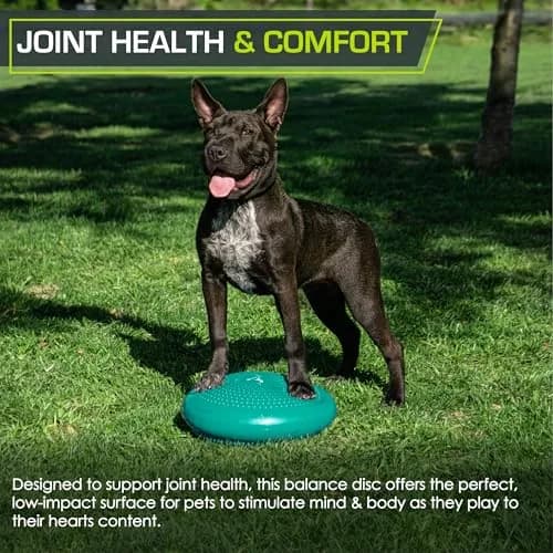ProsourceFit Core Balance Disc Trainer 14” Diameter | Improve Posture & Stability thumbnail 6