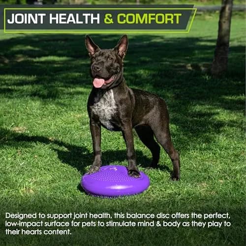 ProsourceFit Core Balance Disc Trainer, 14" Diameter with Pump for Fitness, Balance & Seating; Wobble Board for Core Stability; Flexible Floor Cushions for Kids, Purple thumbnail 5