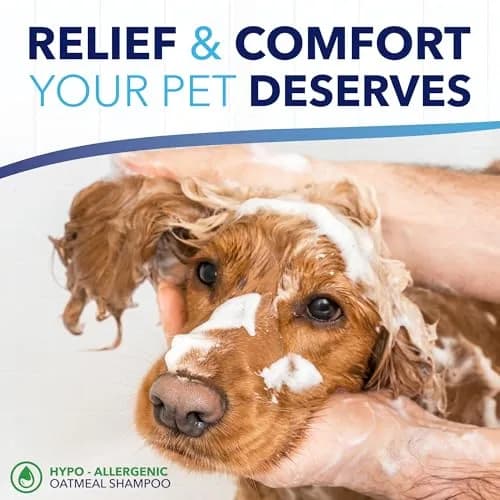 TropiClean OxyMed Hypoallergenic Dog & Cat Shampoo 591ml (20oz) | Soothes Itchy Skin & Coats thumbnail 7