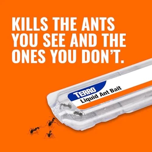 Terro Ant Killer Bait Stations T300B, 12 Count | Borax Formula Kills Colony thumbnail 4