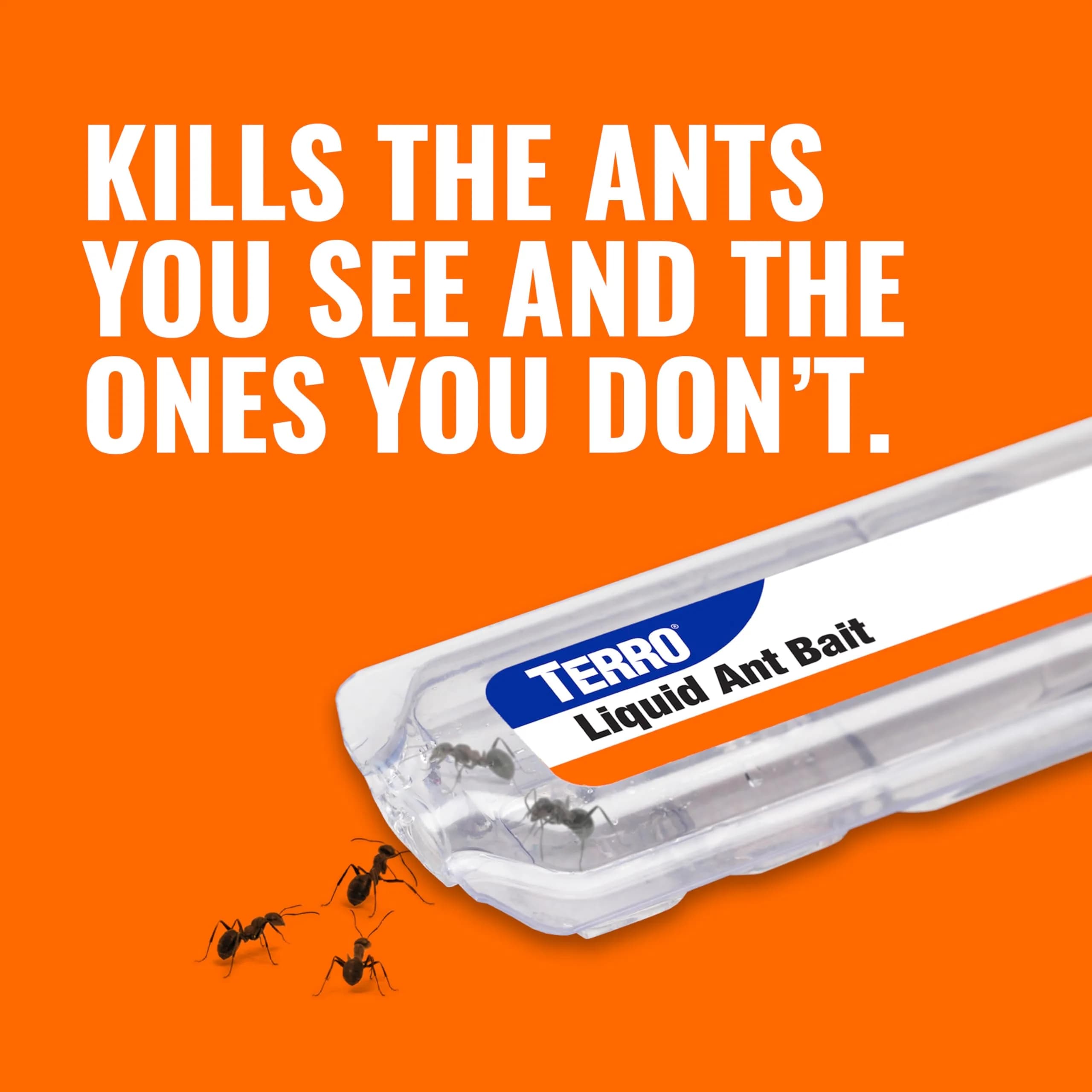 Terro Ant Killer Bait Stations T300B, 12 Count | Borax Formula Kills Colony - view 4