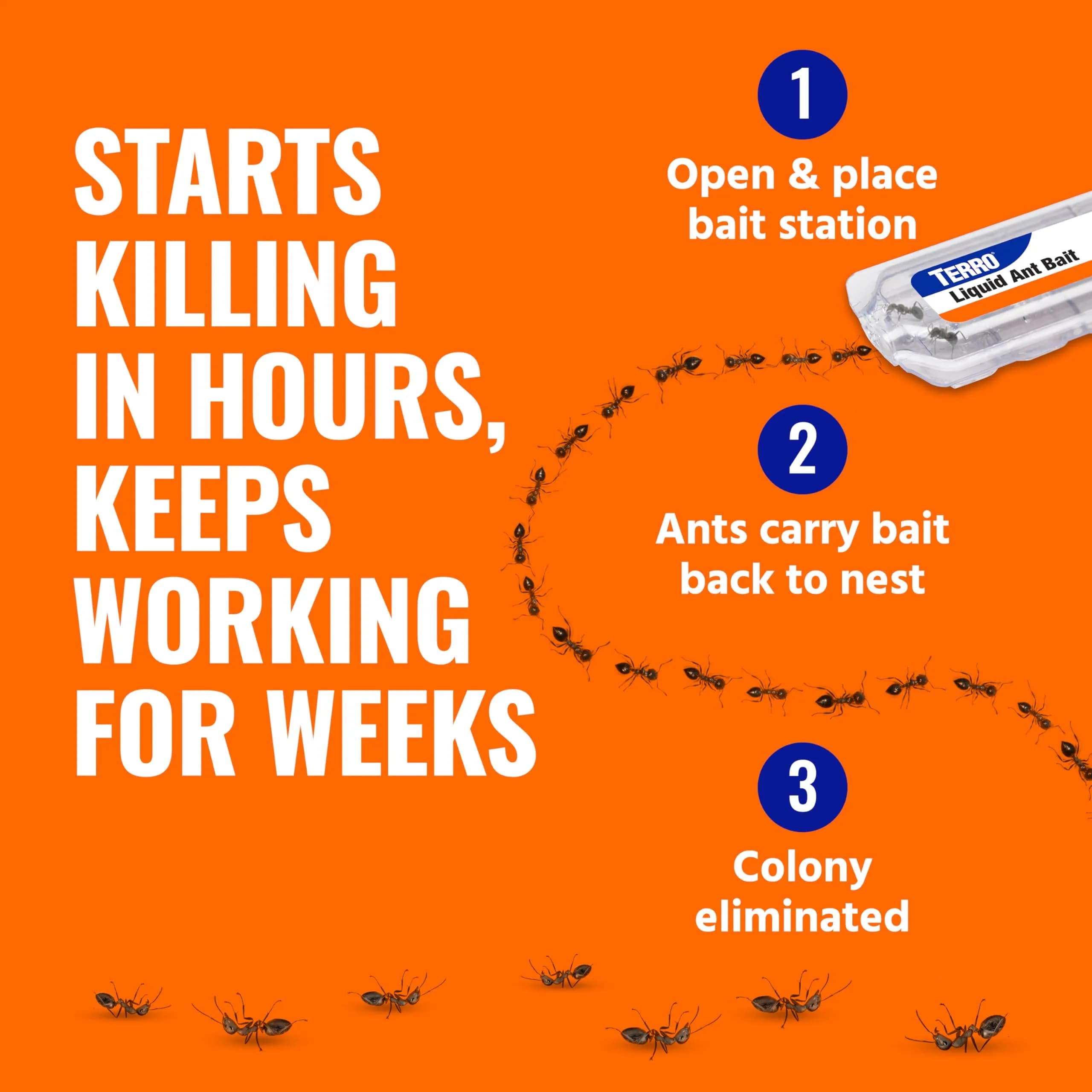 Terro Ant Killer Bait Stations T300B, 12 Count | Borax Formula Kills Colony - view 7