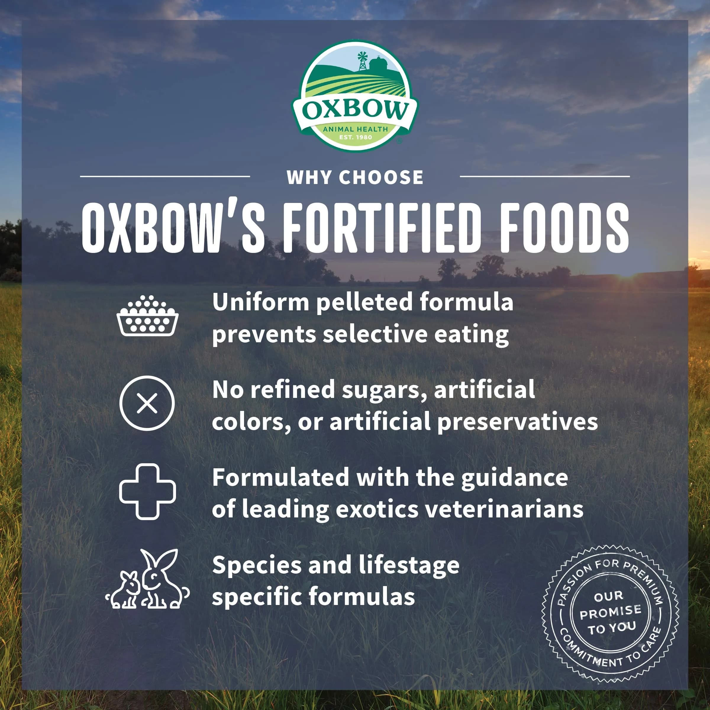 Oxbow Essentials Young Rabbit Food Pellets 11.33 kg (25 lb) | High-Fiber Timothy Hay Formula for Digestive Health - view 3