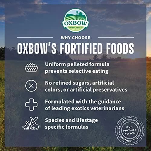 Oxbow Essentials Young Rabbit Food Pellets 11.33 kg (25 lb) | High-Fiber Timothy Hay Formula for Digestive Health thumbnail 3