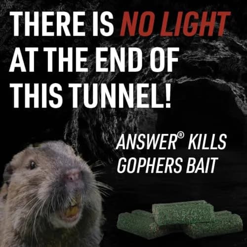 JT Eaton Answer Pocket Gopher Rodenticide Bait, 16 oz | Moisture-Resistant Anticoagulant for Gophers in India thumbnail 6