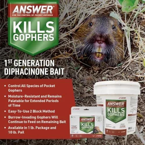 JT Eaton Answer Pocket Gopher Rodenticide Bait, 16 oz | Moisture-Resistant Anticoagulant for Gophers in India thumbnail 2