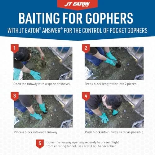 JT Eaton Answer Pocket Gopher Rodenticide Bait, 16 oz | Moisture-Resistant Anticoagulant for Gophers in India thumbnail 3