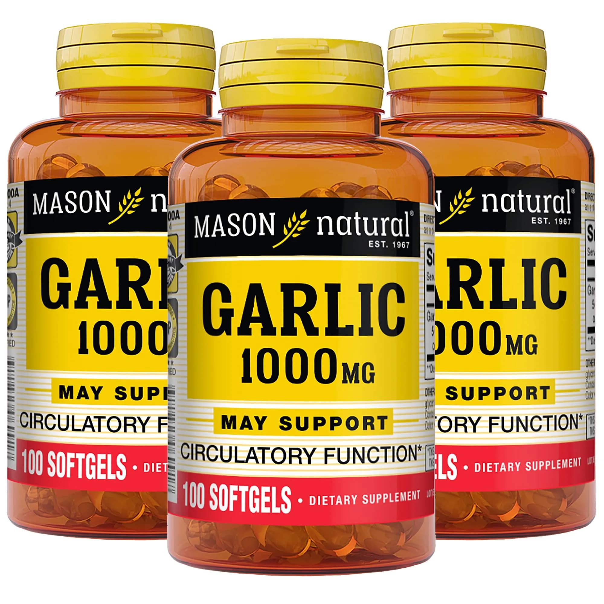 MASON NATURAL Garlic Oil Softgels 300-Day Supply | Supports Heart & Circulatory Health - main product image