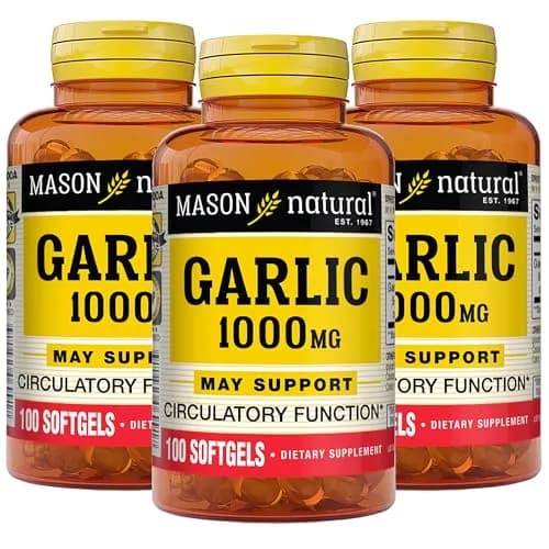 MASON NATURAL Garlic Oil Softgels 300-Day Supply | Supports Heart & Circulatory Health thumbnail 1
