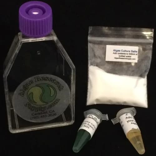 Algae Research Supply Algae Culture Kit Spirulina | School Science Fair & Classroom Experiment thumbnail 6