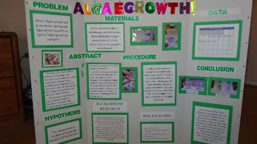 Algae Research Supply Algae Culture Kit Spirulina | School Science Fair & Classroom Experiment thumbnail 7