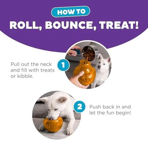 Outward Hound Snoop Interactive Treat Dispenser Dog Toy, Orange, 5" | Mental Stimulation & Slow Feeder thumbnail 5