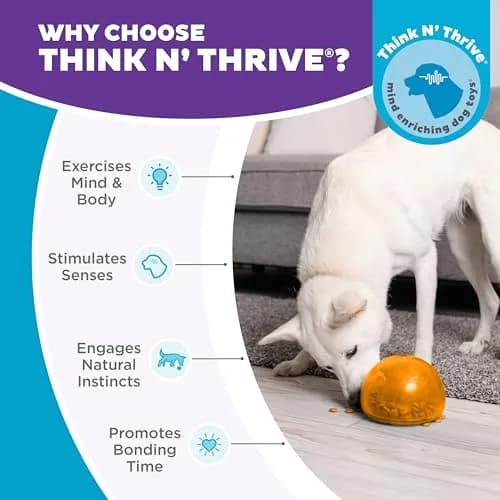 Outward Hound Snoop Interactive Treat Dispenser Dog Toy, Orange, 5" | Mental Stimulation & Slow Feeder thumbnail 7
