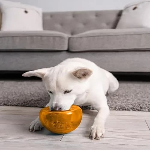 Outward Hound Snoop Interactive Treat Dispenser Dog Toy, Orange, 5" | Mental Stimulation & Slow Feeder thumbnail 9