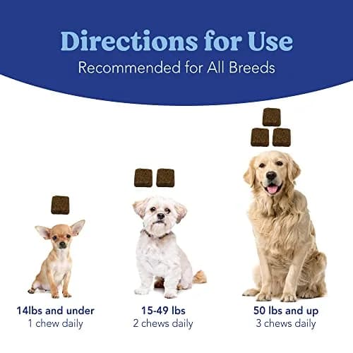 Angels' Eyes Natural Tear Stain Prevention Soft Chews for Dogs | Chicken Formula 120 Count | Daily Supplement to Reduce Eye Stains thumbnail 4