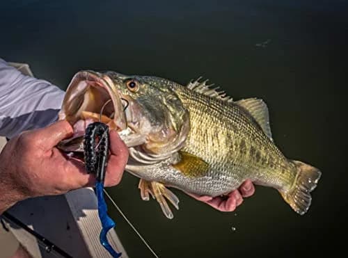 Berkley PowerBait Power Worm Fishing Bait, Black Grape, 10in | Classic Curly Tail Profile for Spring, Summer & Fall Fishing thumbnail 6