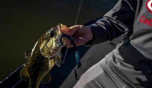 Berkley PowerBait Power Worm Fishing Bait, Black Grape, 10in | Classic Curly Tail Profile for Spring, Summer & Fall Fishing thumbnail 3