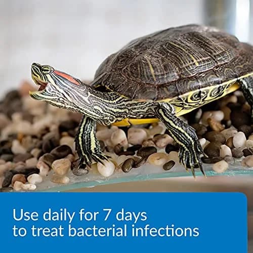 API TURTLE FIX Nonbacilli Turtle Remedy 4 oz | Safe Aquatic Reptile Treatment thumbnail 2
