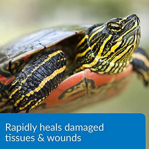 API TURTLE FIX Nonbacilli Turtle Remedy 4 oz | Safe Aquatic Reptile Treatment thumbnail 3
