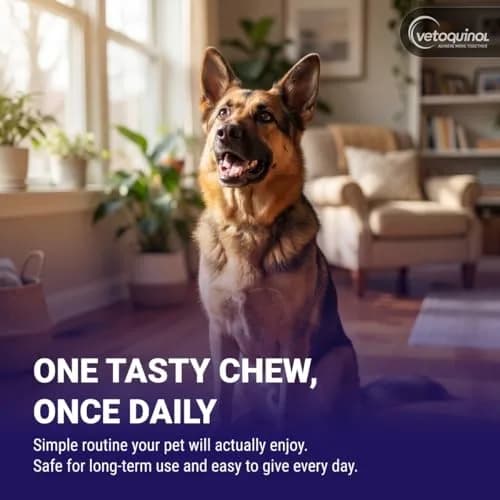 Vetoquinol Flexadin Advanced Hip and Joint Supplement for Dogs & Cats with Undenatured Collagen, 30 Soft Chews | Vet-Approved Formula for Joint Support thumbnail 5