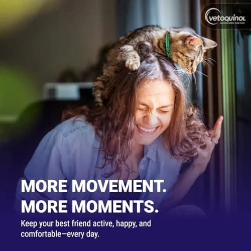 Vetoquinol Flexadin Advanced Hip and Joint Supplement for Dogs & Cats with Undenatured Collagen, 30 Soft Chews | Vet-Approved Formula for Joint Support thumbnail 8