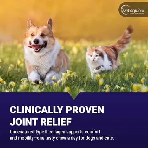 Vetoquinol Flexadin Advanced Hip and Joint Supplement for Dogs & Cats with Undenatured Collagen, 30 Soft Chews | Vet-Approved Formula for Joint Support thumbnail 2