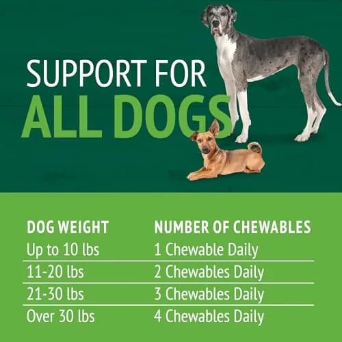 PetNC Natural Care Brewers Yeast Dog Skin and Coat Supplement 250 Chewables | Promotes Healthy Skin & Glossy Coat thumbnail 4
