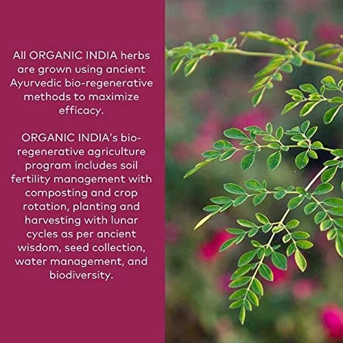 ORGANIC INDIA Triphala Capsules 16 oz | Herbal Supplement with Amla & Digestive Support thumbnail 2