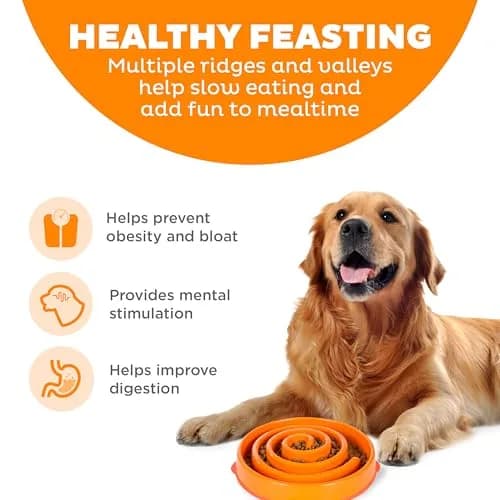 Outward Hound Fun Feeder Slo Bowl Large 4-Cup Capacity Orange Swirl Pattern | Slow Feeding Dog Bowl for Medium to Large Dogs thumbnail 2