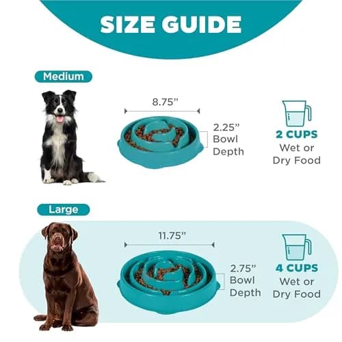 Outward Hound Fun Feeder Slo Bowl Large 4-Cup Capacity Turquoise | Slow Feeding Dog Bowl for Medium to Large Dogs thumbnail 5